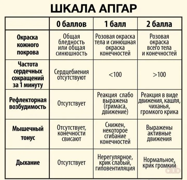 Свидетельство о рождении (Казахстан)